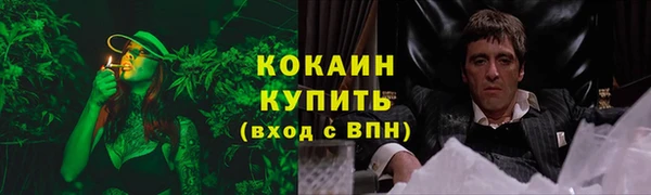 ГАЛЛЮЦИНОГЕННЫЕ ГРИБЫ Абдулино