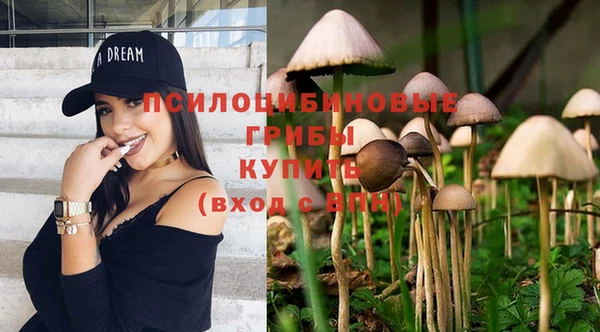 ГАЛЛЮЦИНОГЕННЫЕ ГРИБЫ Абдулино