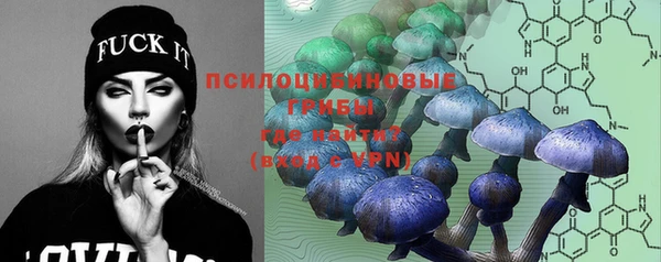 ПСИЛОЦИБИНОВЫЕ ГРИБЫ Алексин