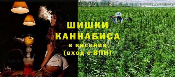 ГАЛЛЮЦИНОГЕННЫЕ ГРИБЫ Абдулино